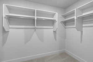 Walk in closet featuring carpet floors