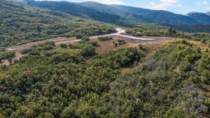 Bird's eye view of a heavily wooded area and mountains