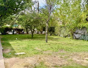 View of grassy yard