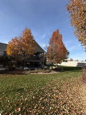 View of yard featuring a patio area