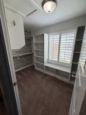 Spacious closet with dark colored carpet and attic access