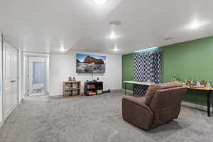 Basement Theater Room