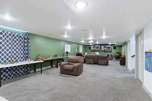 Basement Theater Room