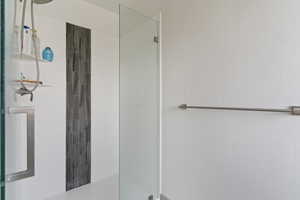 Master Bedroom Shower