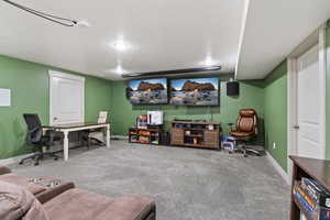 Double TV Mounts & Projector