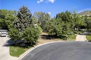 View of asphalt road featuring curbs