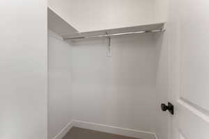 Spacious closet with carpet floors