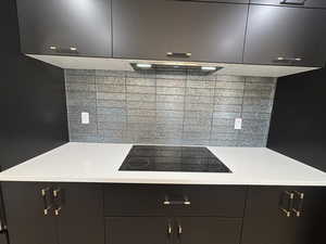 Smooth top Stove and custom backsplash