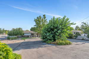 View of property hidden behind natural elements with stone siding and driveway