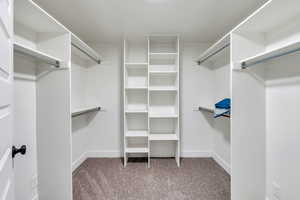 Walk in closet featuring carpet floors