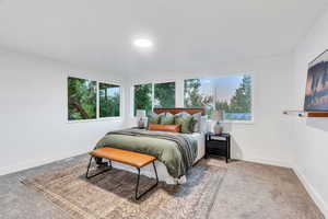 Carpeted bedroom featuring multiple windows
