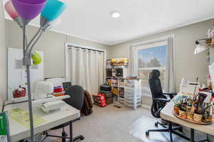 Carpeted office with ornamental molding and a textured ceiling