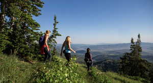 Mountain view