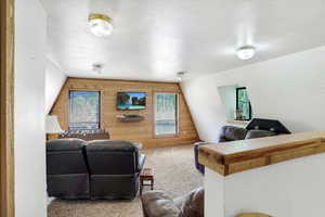 Living area featuring healthy amount of natural light, carpet floors, and wood walls
