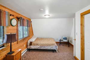 Carpeted bedroom with baseboard heating and baseboards