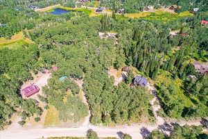 Aerial view of a forest and a nearby body of water
