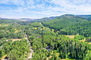Aerial view of property's location with a heavily wooded area and a mountain backdrop