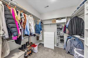Spacious closet featuring carpet floors