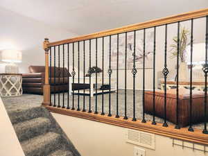 Stairway featuring carpet floors