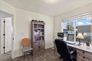 Office space featuring carpet and a textured ceiling