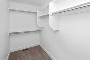 Spacious closet with carpet flooring