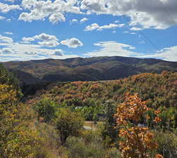 View of mountain backdrop with a forest