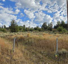 View of undeveloped land