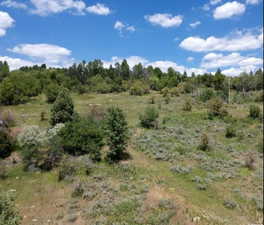 View of nature