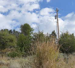 View of undeveloped land
