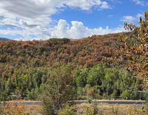 View of mountain background featuring a heavily wooded area