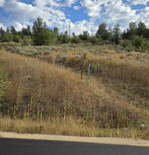 View of local wilderness