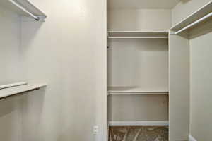 Spacious closet featuring carpet floors