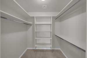 Spacious closet featuring carpet floors