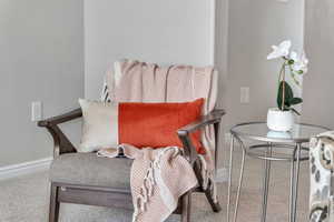 Living area featuring carpet and baseboards