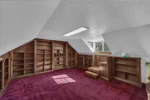 Additional living space featuring vaulted ceiling, dark carpet, a textured ceiling, and built in shelves