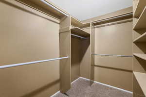 Spacious closet with carpet