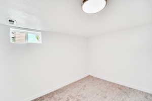 Below grade area with carpet flooring and a textured ceiling