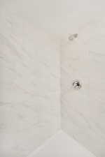 Full bathroom with tiled shower