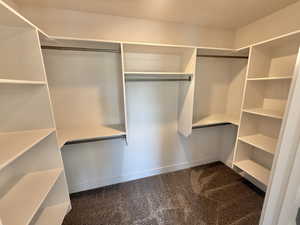 Walk in closet with dark colored carpet