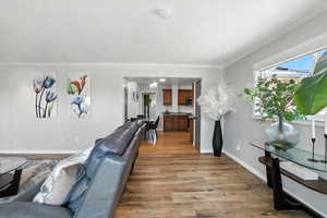 Living area featuring wood finished floors, a textured ceiling, and crown molding