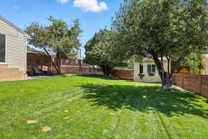 View of fenced backyard
