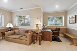 Office space featuring crown molding, carpet floors, and a textured ceiling