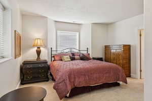Bedroom featuring carpet floors and a textured ceiling