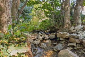 View of undeveloped land