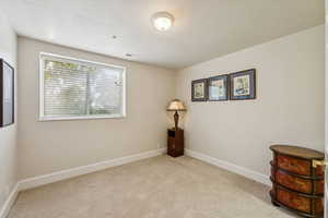 Spare room with carpet and a textured ceiling