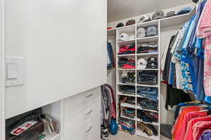 Walk in closet with carpet