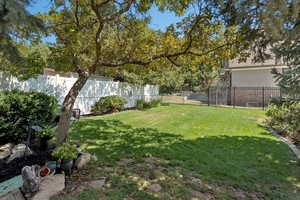 View of fenced backyard
