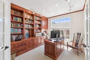 Office space featuring rail lighting, light carpet, and crown molding