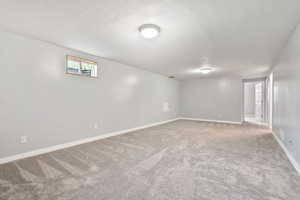 Basement featuring carpet and a textured ceiling
