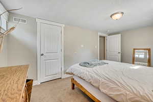 Bedroom with light carpet, a textured ceiling, and multiple windows